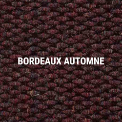 Tapis aiguilleté robuste - 174 - 113 MASTER TRAX Tapis aiguilleté robuste - 174 - 113 MASTER TRAX