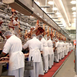 Tapis individuel antidérapant cuisine professionnelle avec bordure