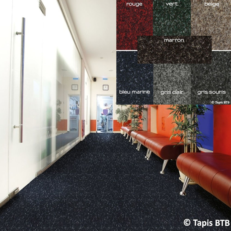 Tapis et revêtements de sols Tapis de Passage Aiguilleté en Rouleau - 984 - Benoît P