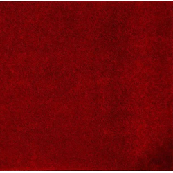 Tapis antisalissures Tapis antisalissure absorbant spécial moquette - 228.456 - 