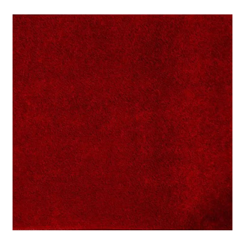 Tapis antisalissures Tapis antisalissure absorbant spécial moquette - 228.456 - 