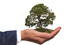 Environnement